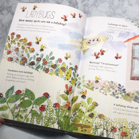 The Big Book of Bugs & Sticker Book - Picture 4 of 9